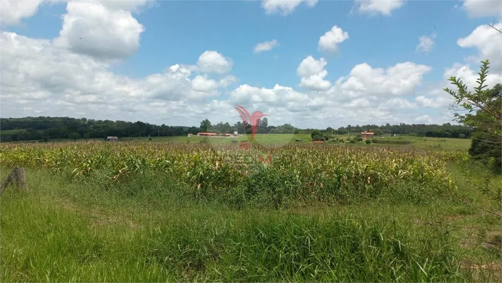 Imagem Fazenda/Sítios/Chácaras de 26000m² no bairro Área Rural De Piratininga, em Piratininga