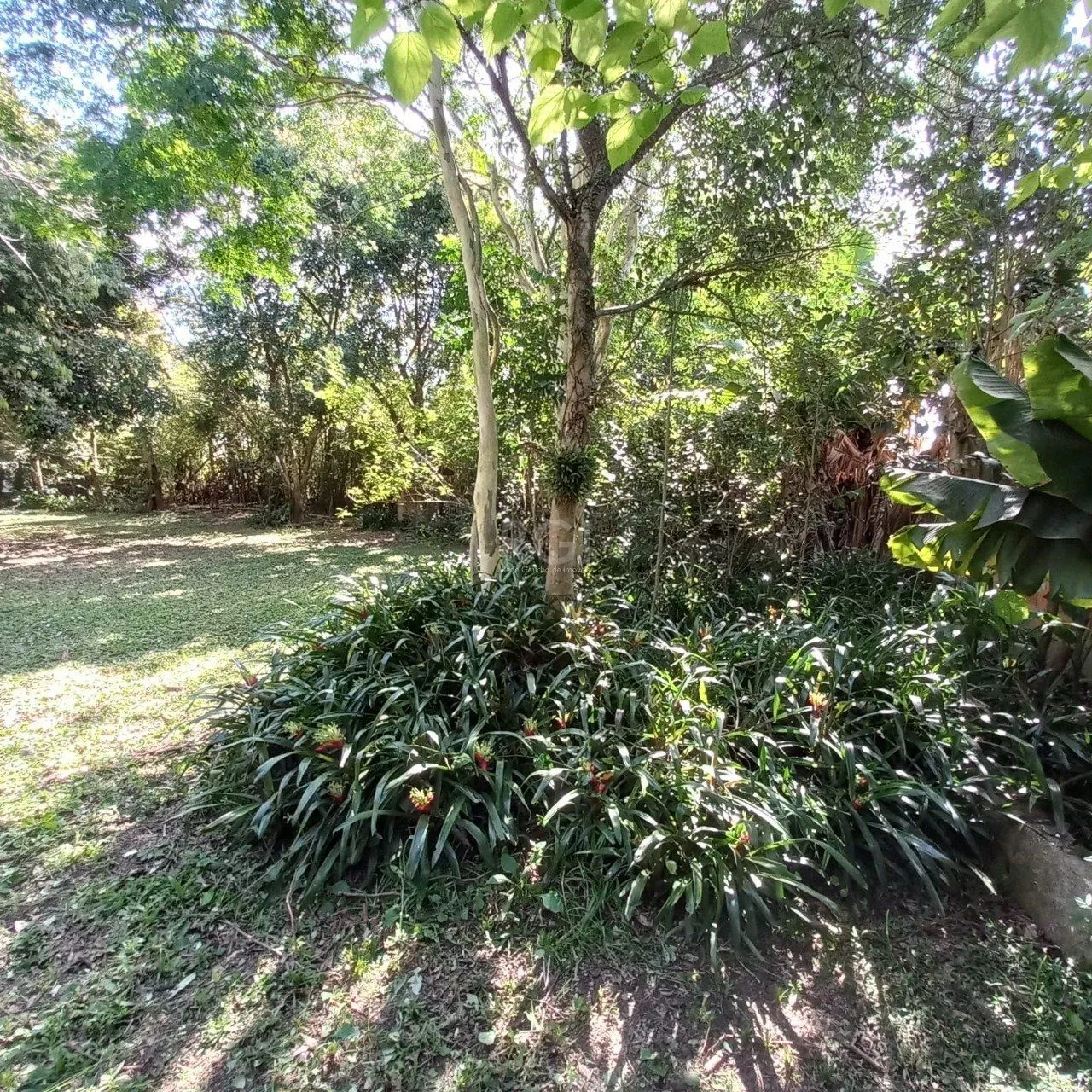 Imagem Terreno para Venda - 0m², 0 dormitórios, Belém Novo, Porto Alegre