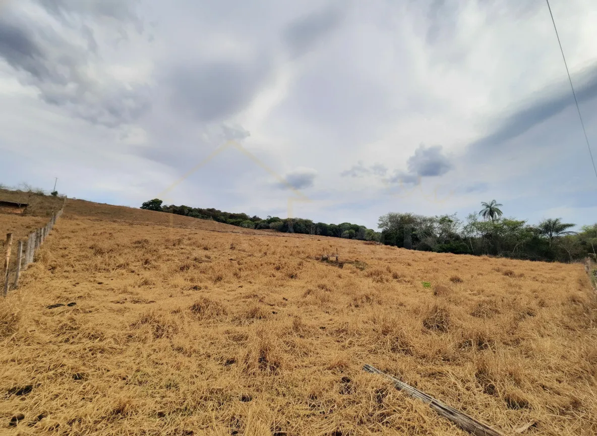 Imagem Gleba 23.800 m² à venda em Correias, Bandeira do Sul