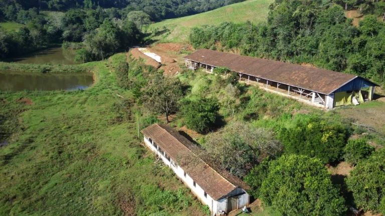 Imagem Área Agrícola para Venda em Concórdia, Interior