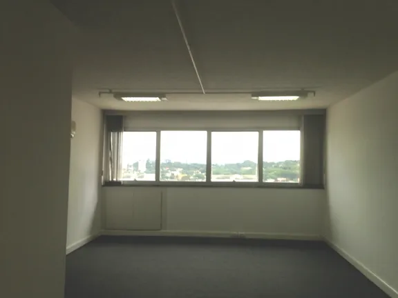 Imagem Sala Comercial para Alugar, 37 m² em Vila Progredior - São Paulo