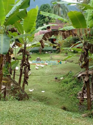 Imagem Linda Casa com 2700 metros de área verde