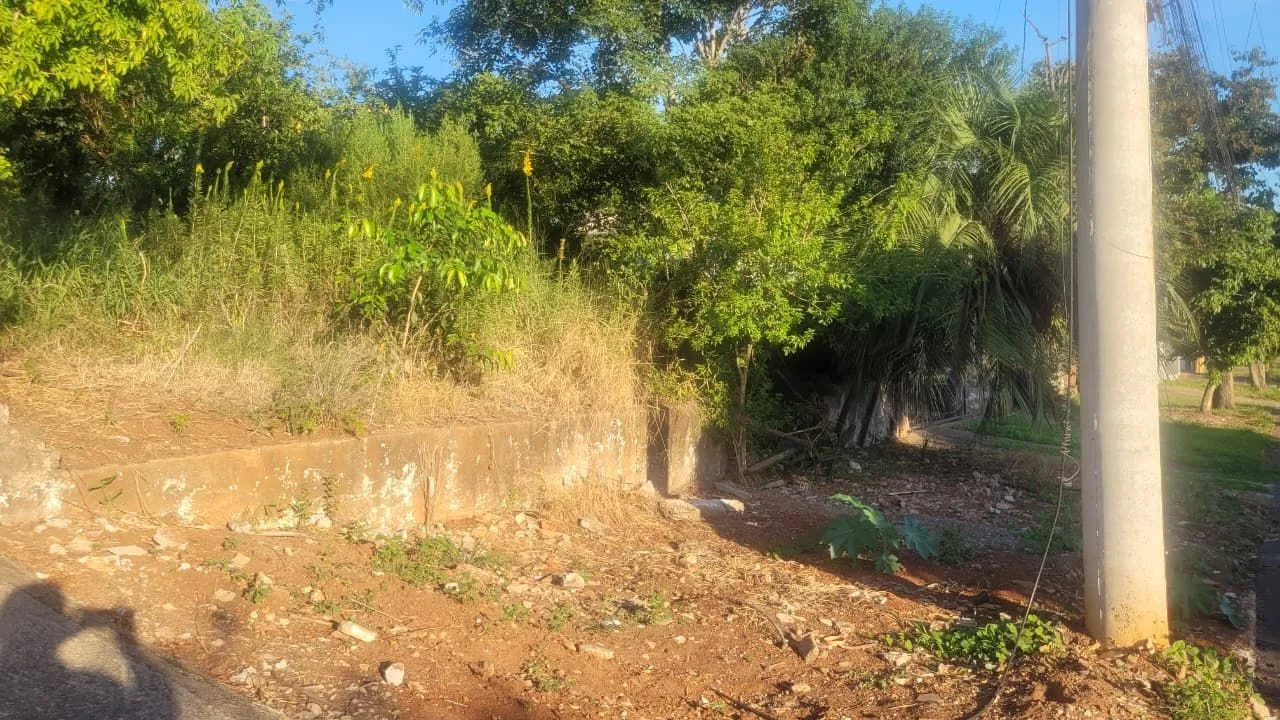 Imagem Terreno 13x30 no Leteamento Vista Alegre em Cachoeirinha