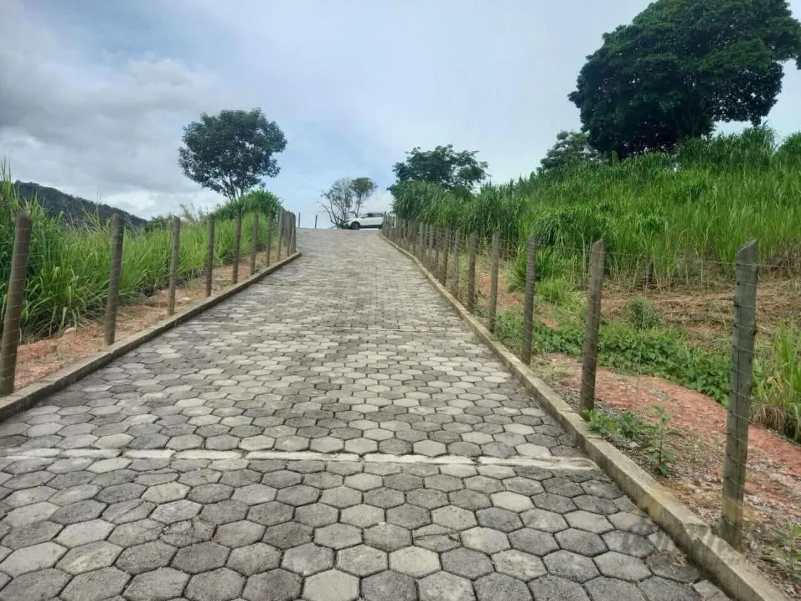 Imagem FAZENDA À VENDA Antônio Dias 48 hectares de terra