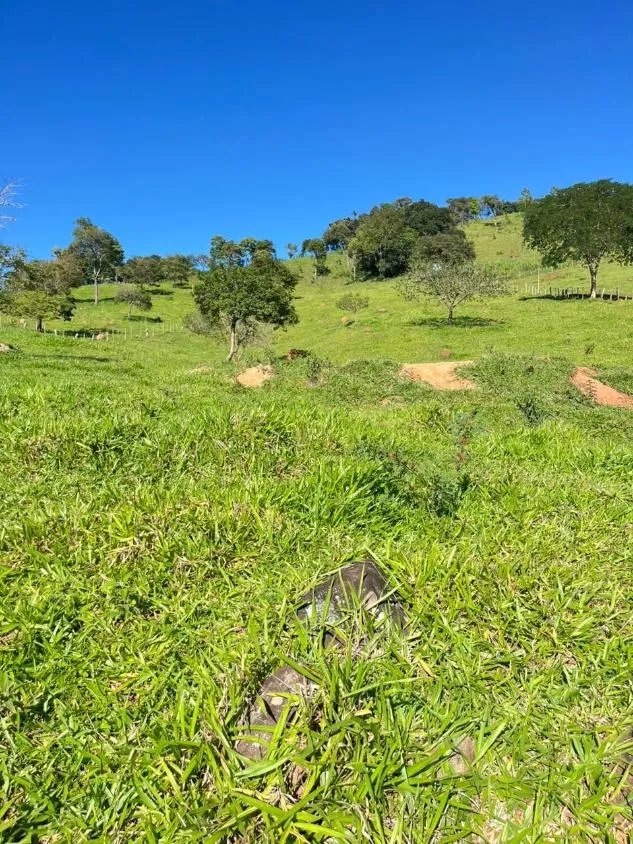 Imagem Vendo um excelente sítio em Crucilândia/MG , área total de 3 hectares (30.000 m²)