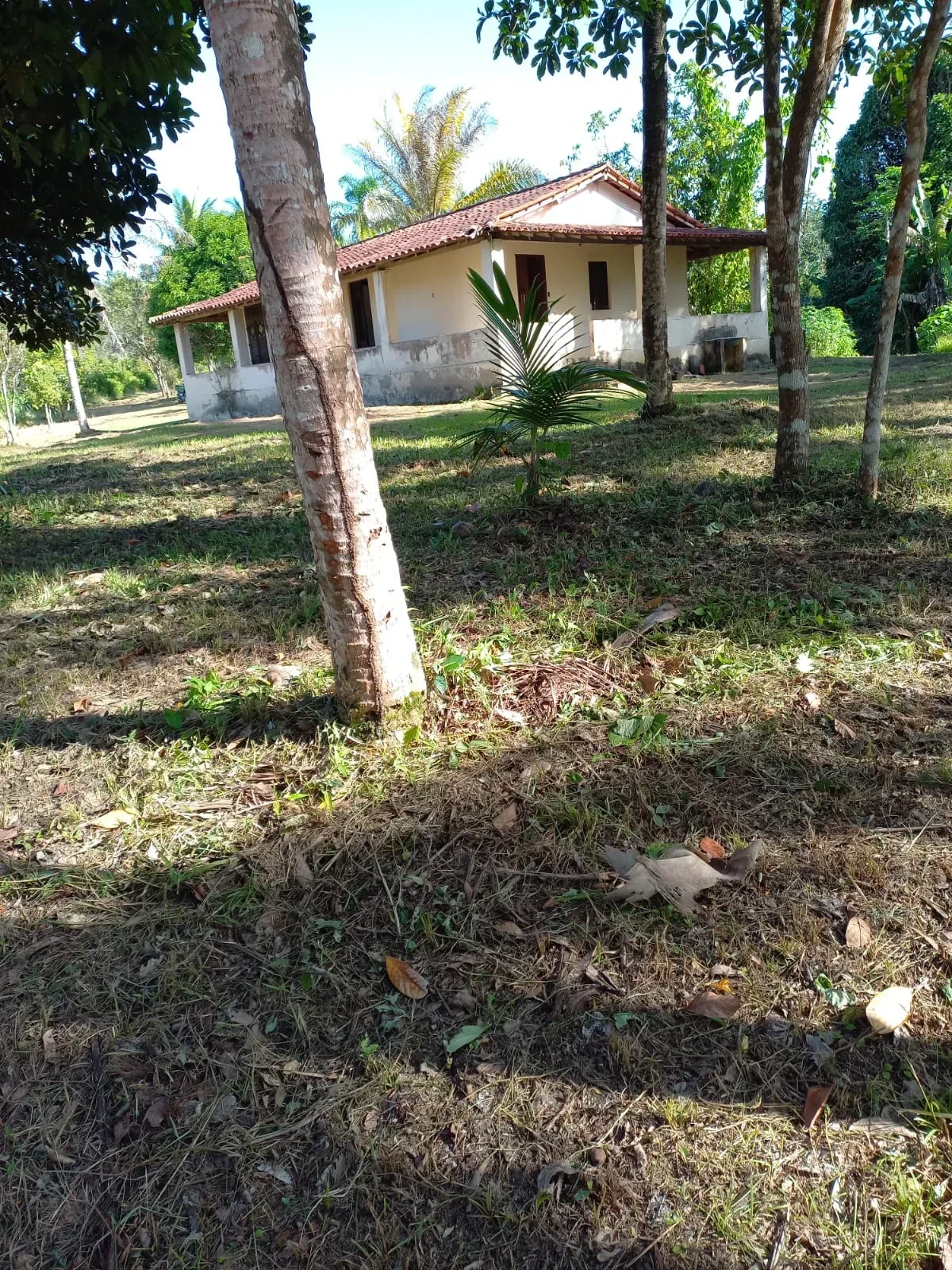 Imagem Fazenda à Venda, 18 HA em Jaguaripe - Jaguaripe
