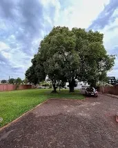 Imagem Casa com 3 Quartos à Venda, 137,43 m² em Centro - Ijuí