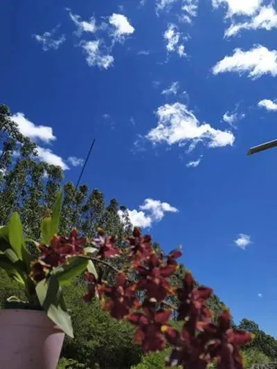 Imagem Casa para Venda em São Pedro da Aldeia / RJ no bairro São Mateus