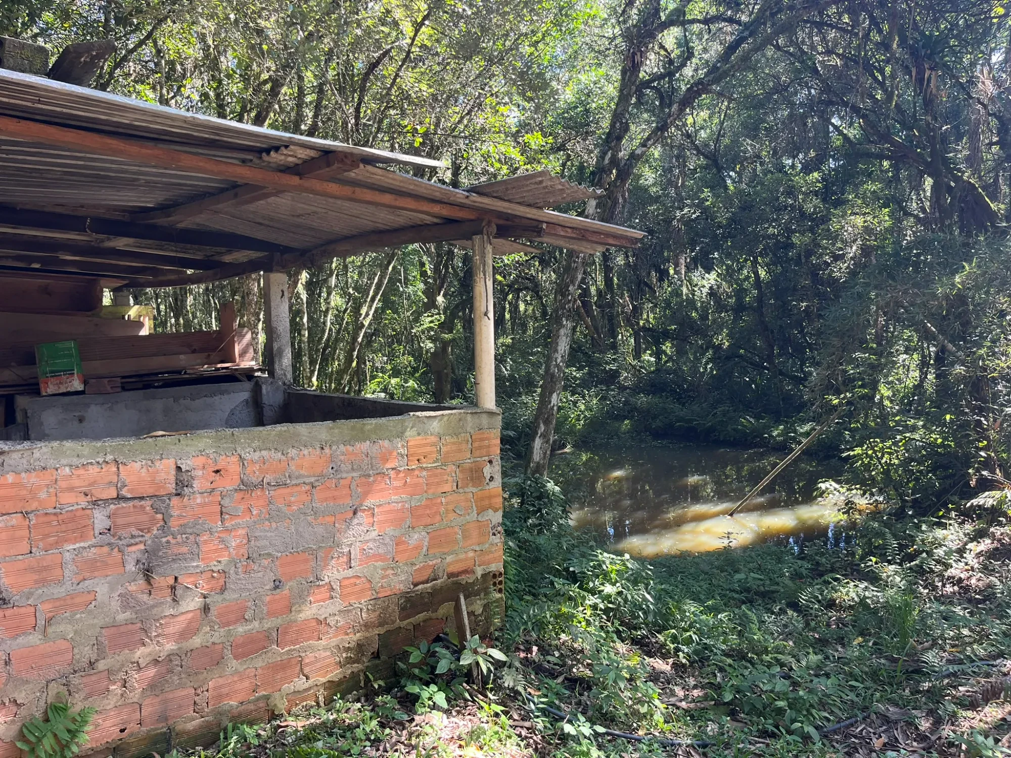 Imagem Chácara com 3 Quartos à Venda, 8000 m² em Campina do Taquaral - São José dos Pinhais