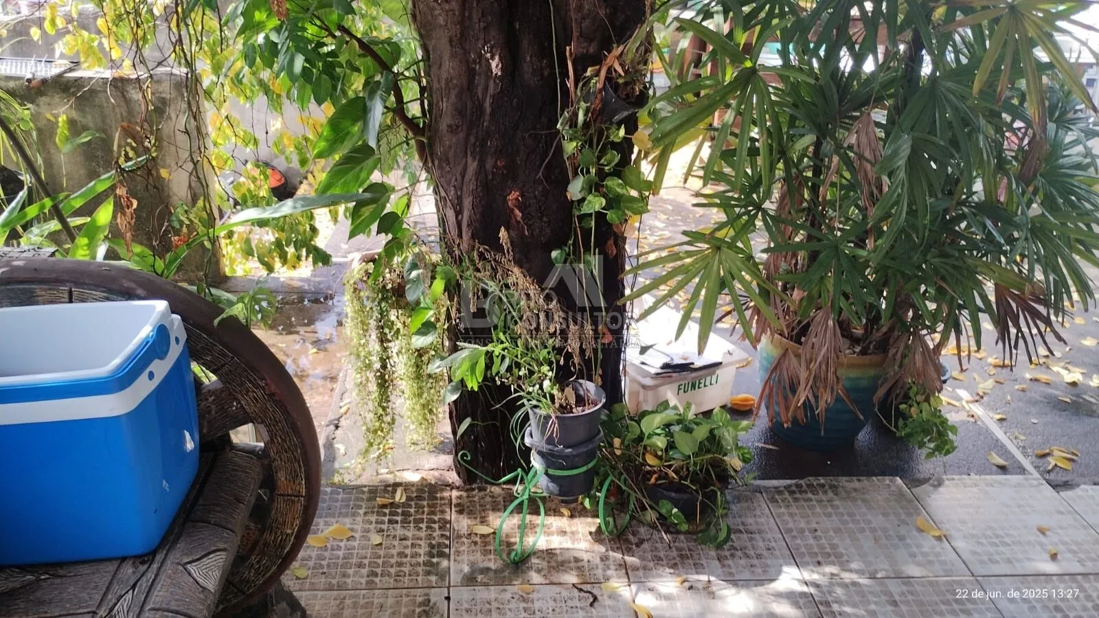 Imagem Vendo Casa com 2 Quartos, 73m², em Barreto, Niterói/RJ