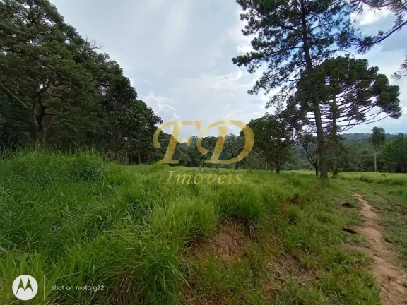 Imagem Área para Loteamento Residencial ou Comercial / Industrial