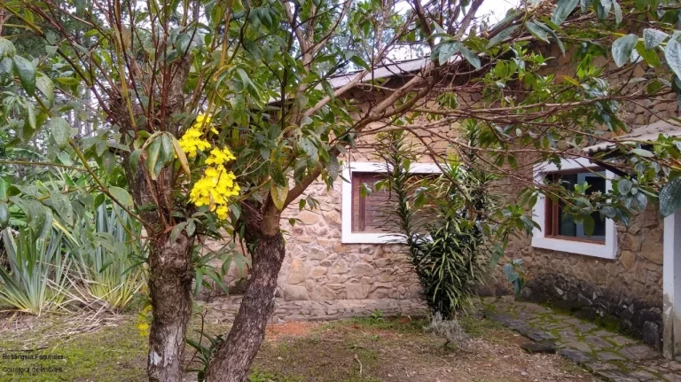 Imagem CHACARA RURAL em POÇOS DE CALDAS - MG, MORADA DOS PÁSSAROS