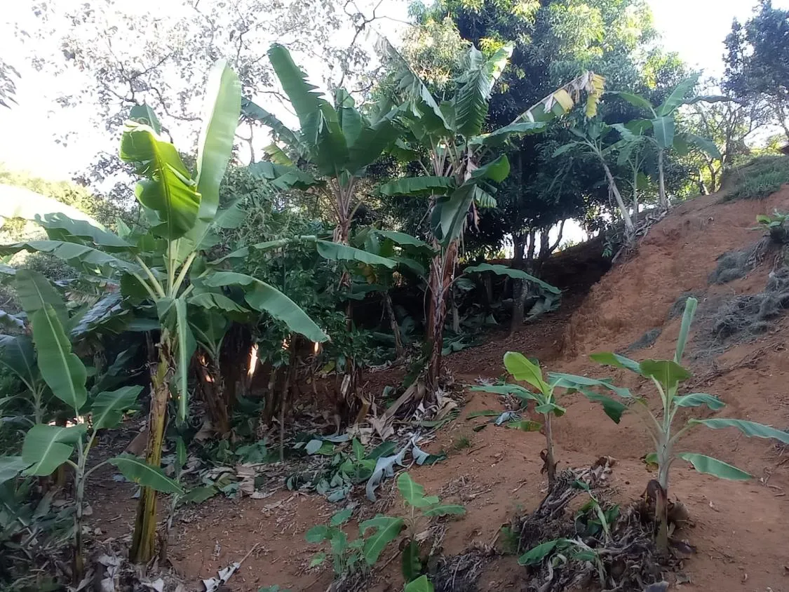 Imagem Vendo chácara em Crucilândia/MG - com 4.500 m² de área