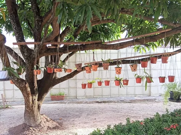 Imagem Casa para Venda em Recife, Areias, 3 dormitórios, 1 suíte, 2 banheiros, 2 vagas