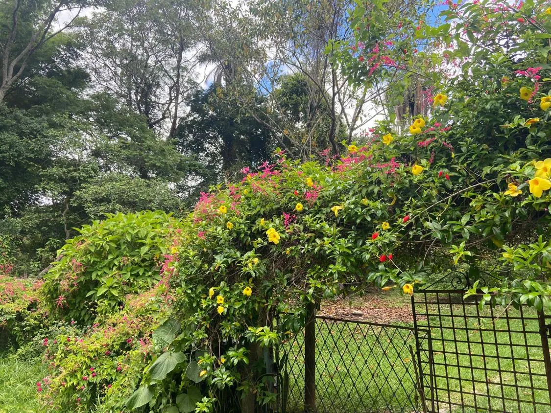 Imagem Oportunidade Única: Fazenda/Área Comercial em Betim/MG 40 hectares