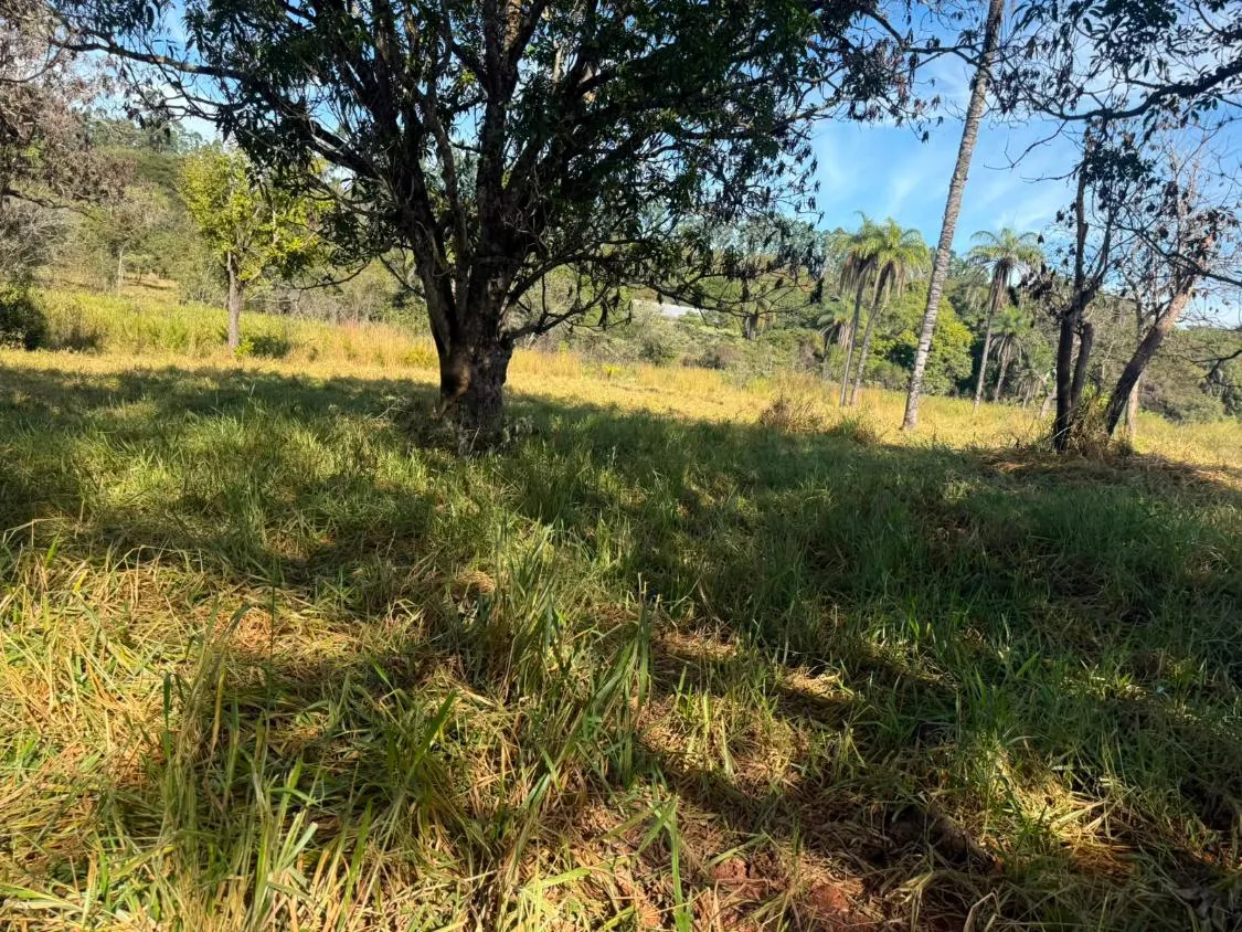 Imagem FAZENDA À VENDA EM CARMÓPOLIS DE MINAS /Área total: 315 hectares