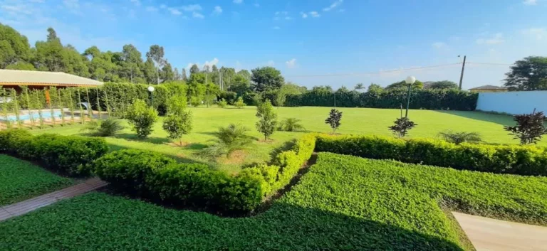 Imagem Magnífica casa a venda no Residencial Jatobá em Cesário Lange/SP