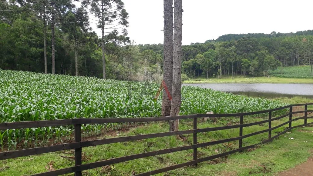 Imagem Area Rural Porteira Fechada, Arroio Fundo dos Rizis, TURVO - PR