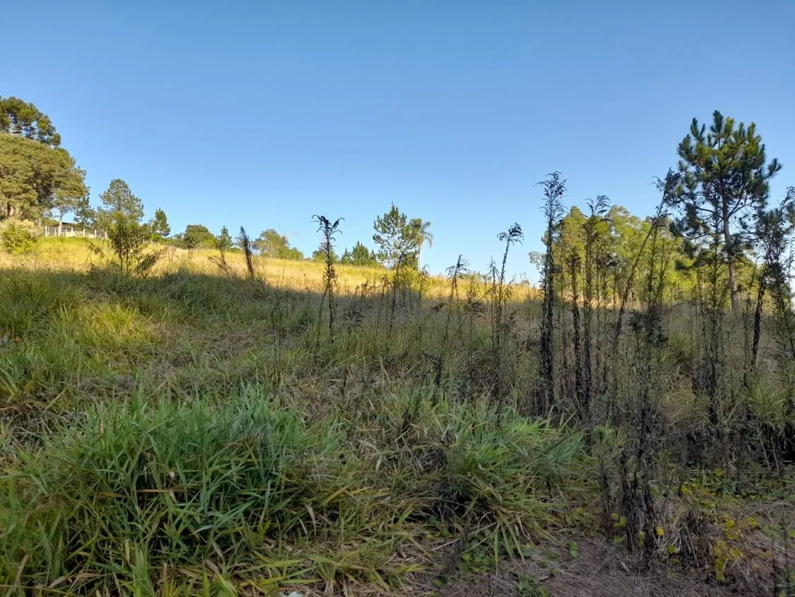 Imagem TERRENO - BAIRRO DA RESSACA - IBIUNA