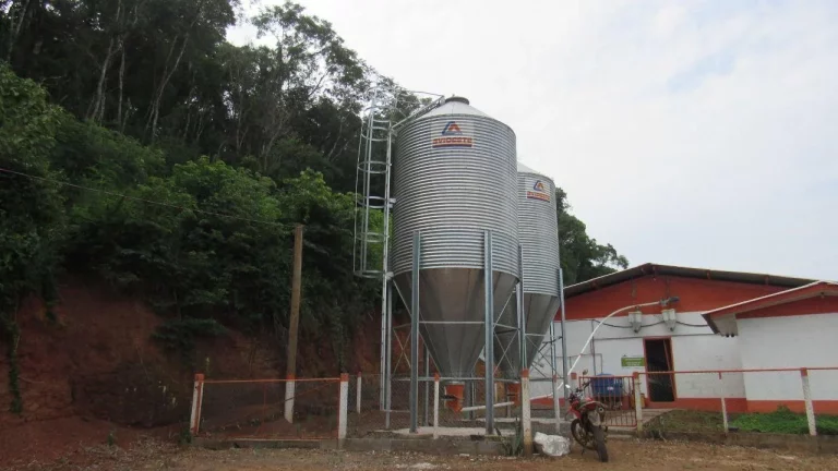 Imagem Área Agrícola para Venda em Peritiba, Lageado Mirim