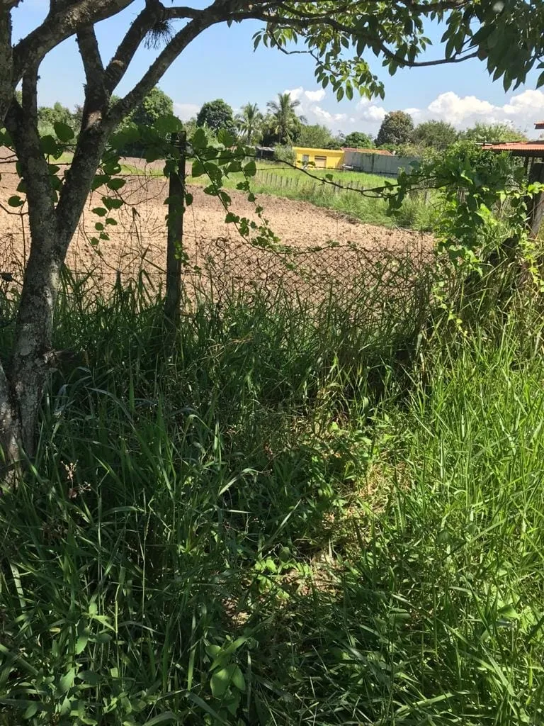 Imagem Terreno à venda 2000M², Pedro Leme, Roseira - SP