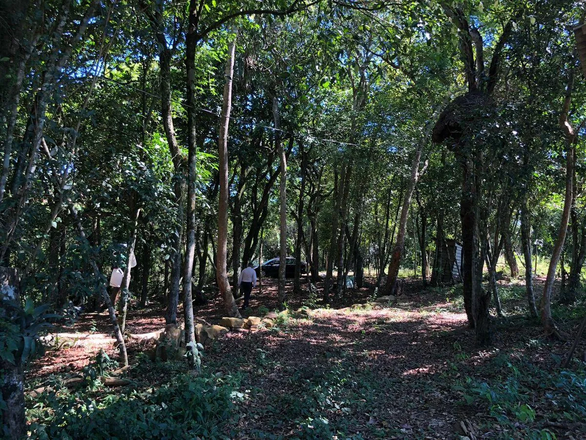 Imagem Chácara para venda , localizado em São João do Deserto, Lomba Grande em Novo Hamburgo/RS.