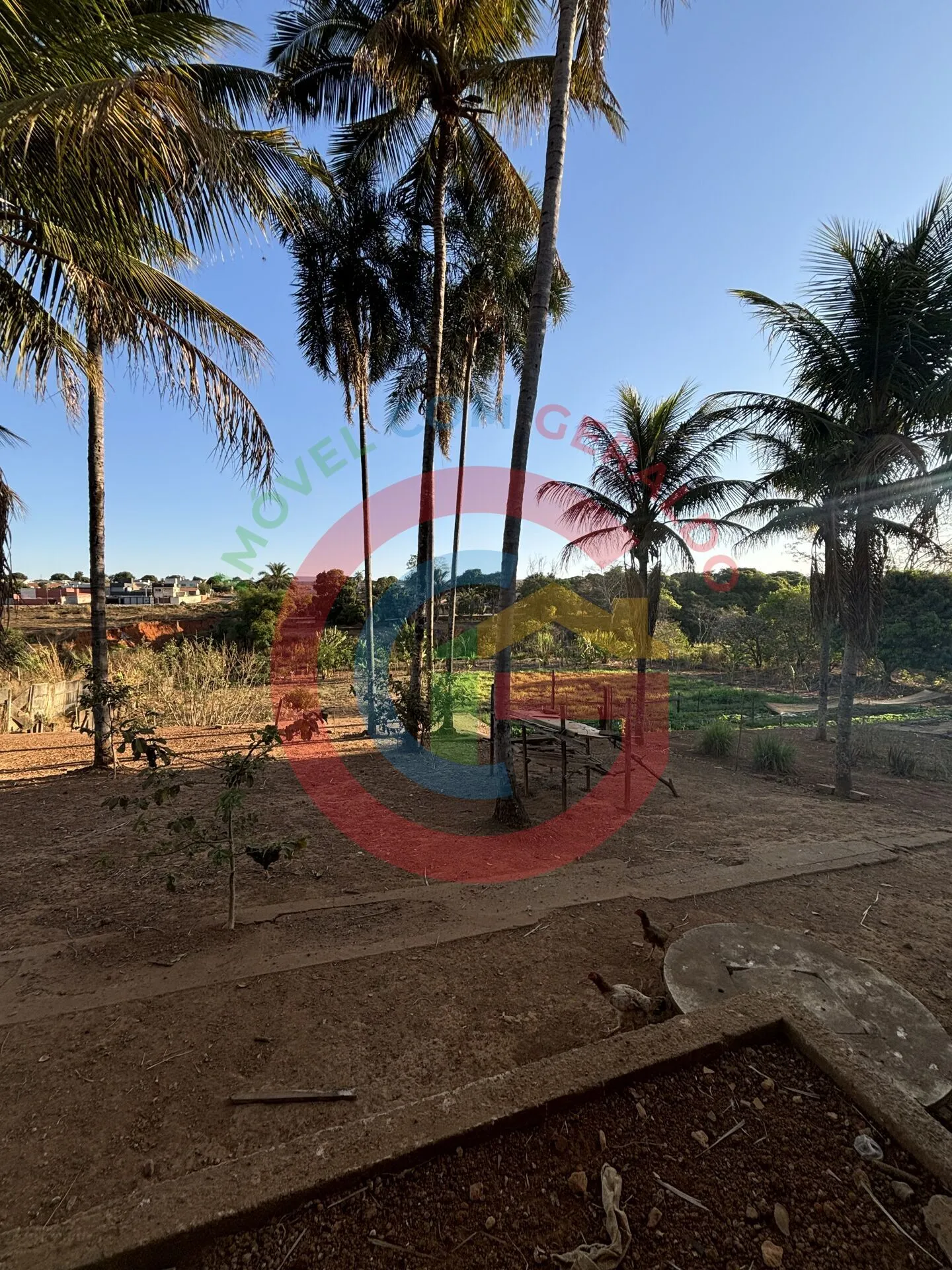 Imagem Área 16 mil m² Jardim Helvécia - Complemento.