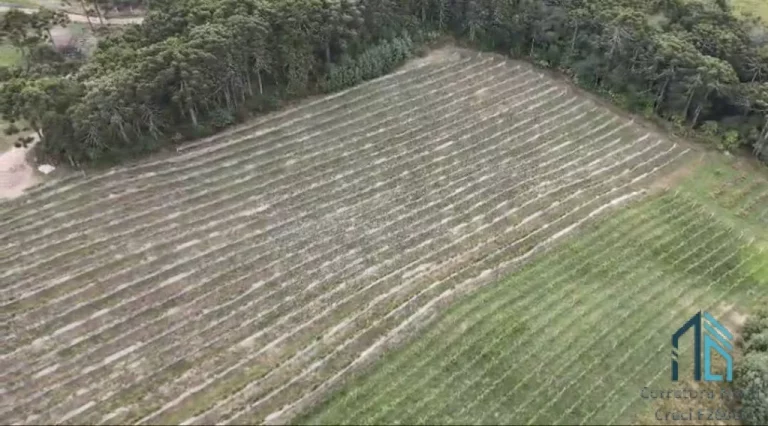Imagem - Fazenda, Vinícola, Sítio, A VENDA, próximo ao centro de São Joaquim SC