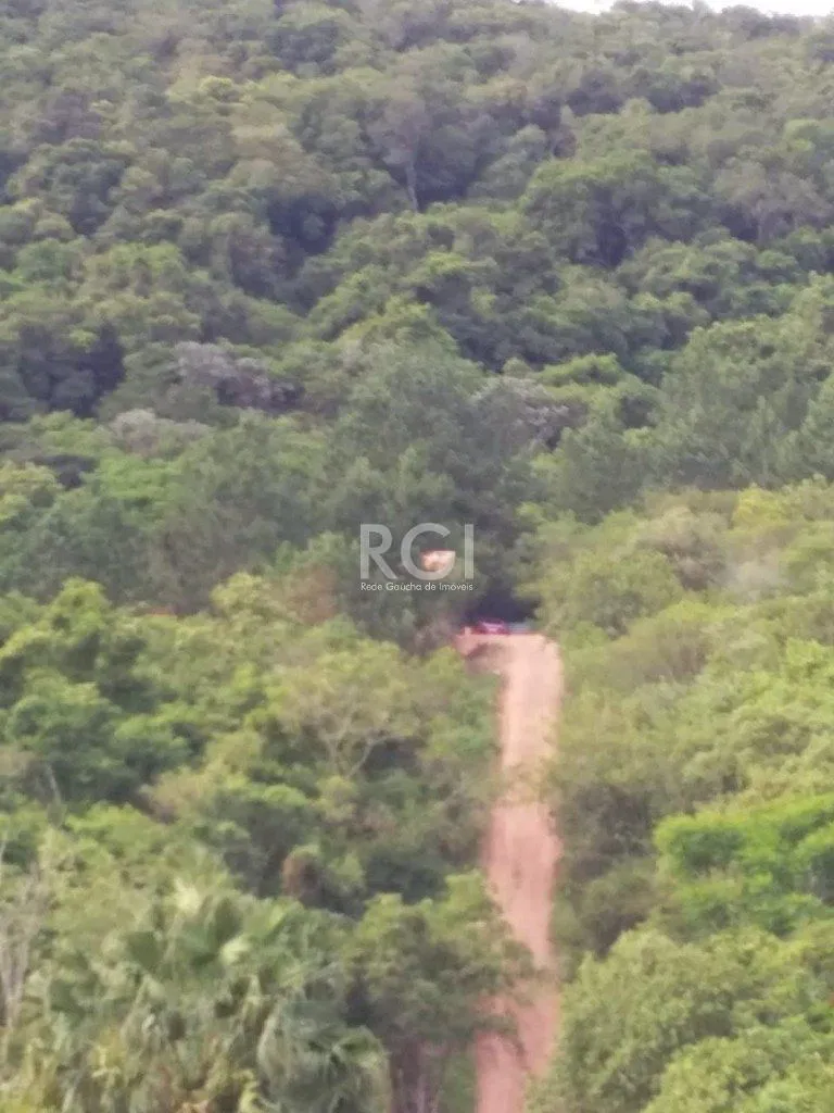 Imagem Area para Venda - 40000m², 0 dormitórios, Vila Nova