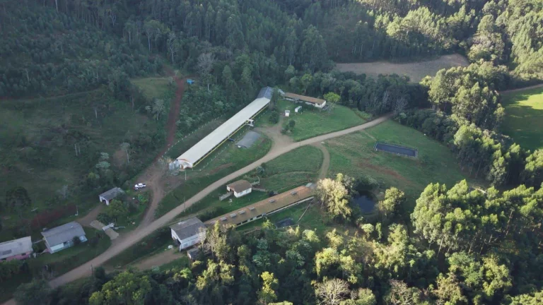 Foto do imóvel Granja para Venda em Lindóia do Sul, Centro em Concórdia