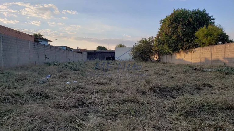 Imagem Terreno Padrão