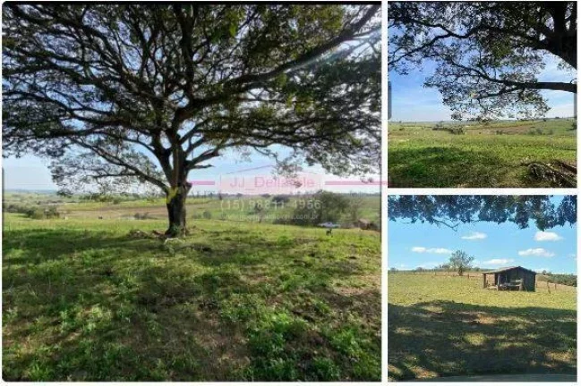 Imagem Sítio com 43,600 metros de terreno COM EXELENTE TOPOGRAFIA em cerquilho