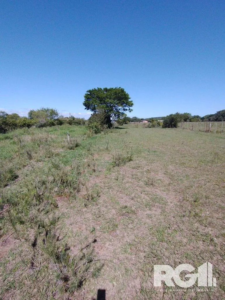 Imagem Excelente Sítio na Capital de 6.737,57 m2, Bairro Lami, Porto Alegre RS