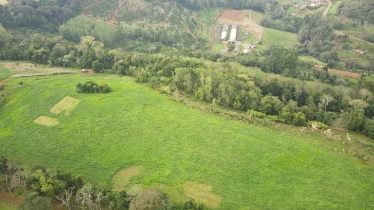 Imagem Área Agrícola para Venda em Arabuta, Rural