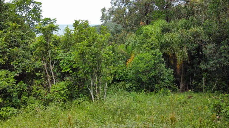Imagem Terreno com Vista para o Mar na Praia da Ferrugem - Garopaba-SC!