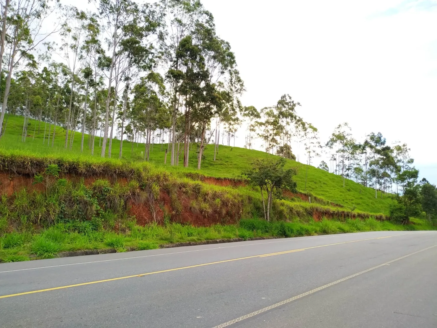 Imagem Chácara à venda 30000M², Zona Rural, Silveiras - SP