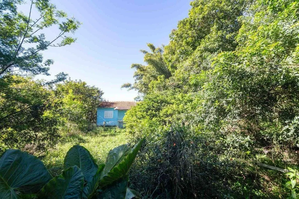 Imagem Casa em Vila Nova