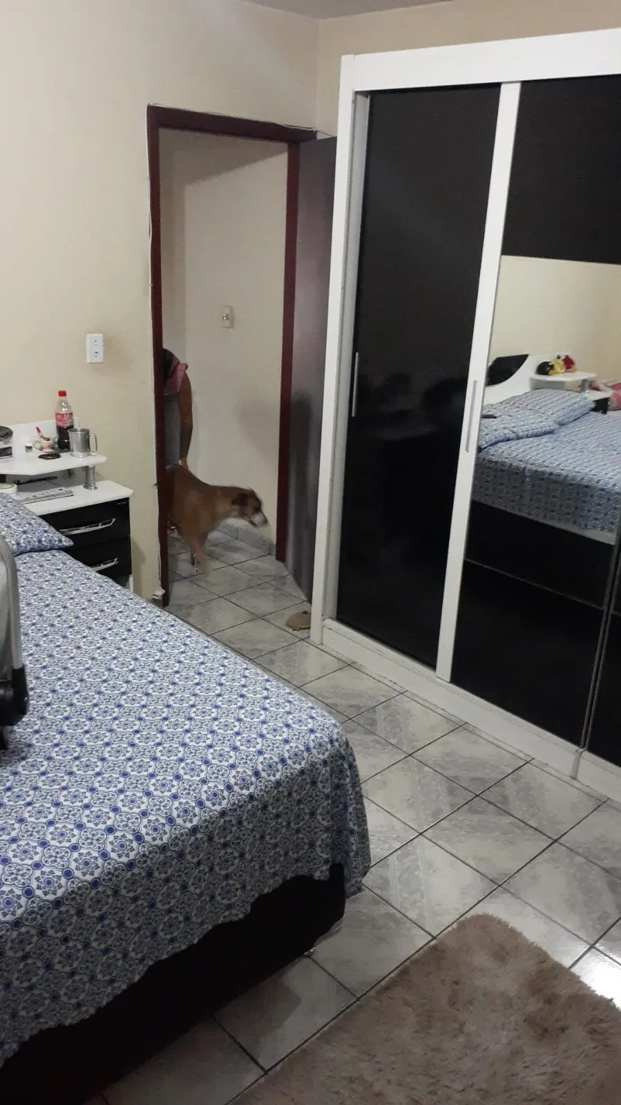 Imagem Casa Espaçosa a Venda no Parque das Paineiras