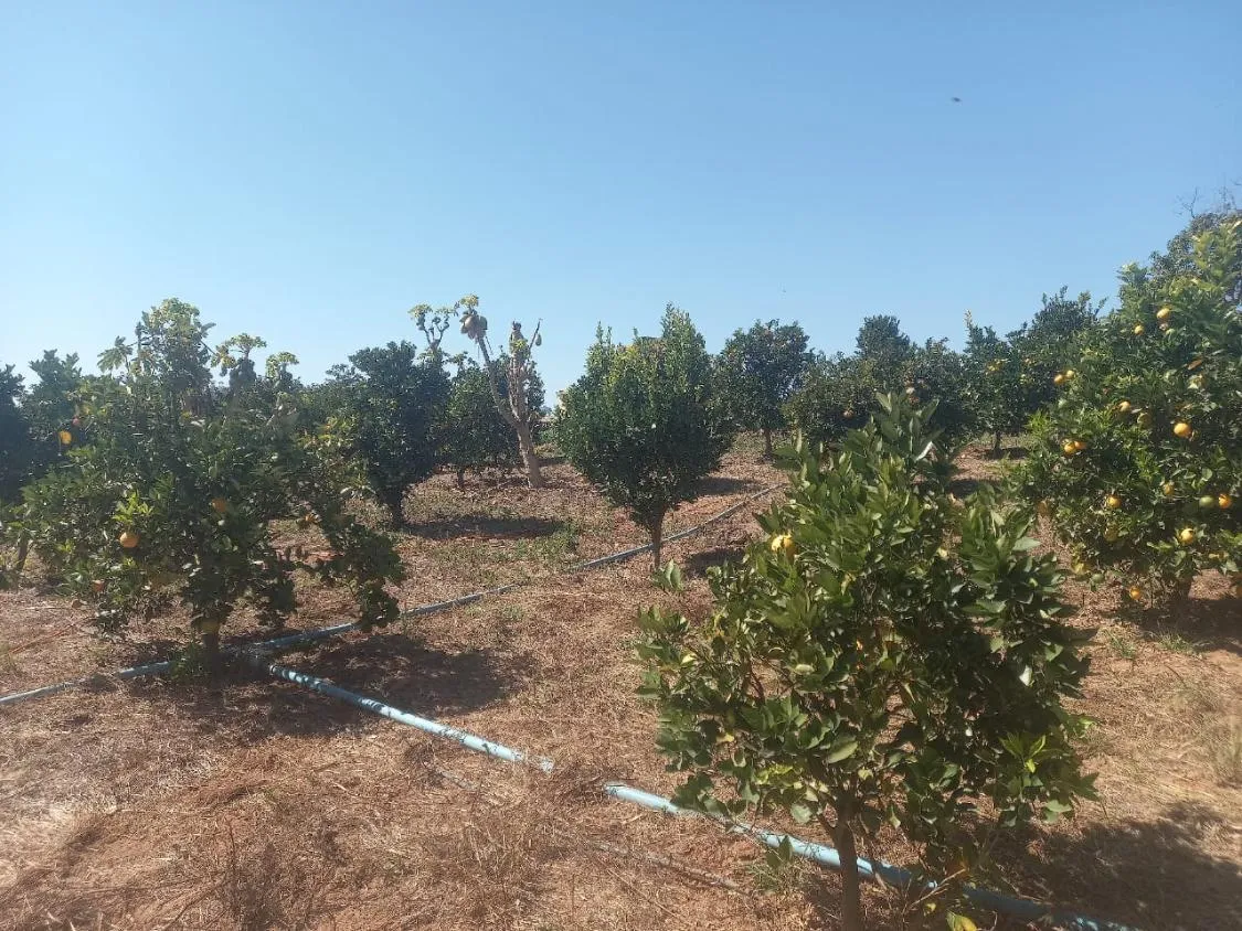 Imagem Excelente Oportunidade: Terreno de 30 Hectares em Passa tempo/MG