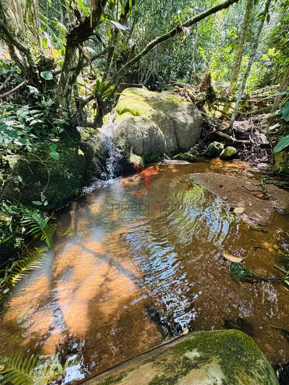 Imagem Área Rural Exclusiva com CACHOEIRAS NATURAIS. Vista para o Lago e para o mar de  Imaruí/SC