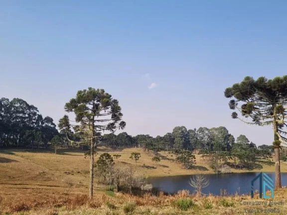 Imagem Sítio/Chácara a venda com 33 hectares bem localizado no interior de São Joaquim - SC