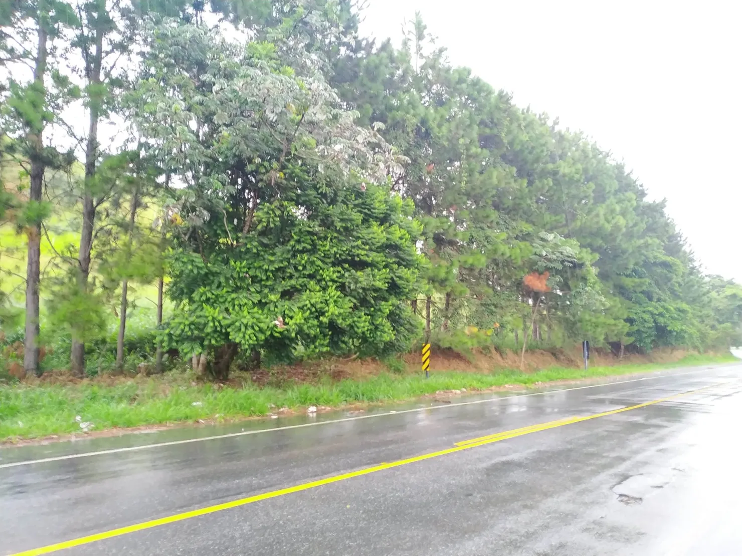 Chácara à venda 30000M², Zona Rural, Silveiras - SP