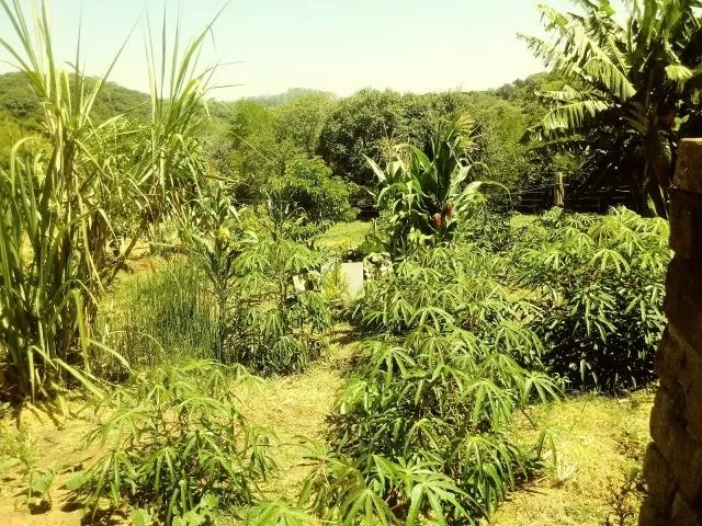 Imagem Chácara para Venda em Taquara / RS no bairro Fazenda Fialho