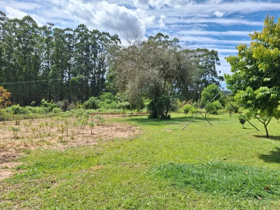 Imagem OPORTUNIDADE!!! Sítio 7.500m², Casa de madeira, Galpão, Pomar, Morro Grande