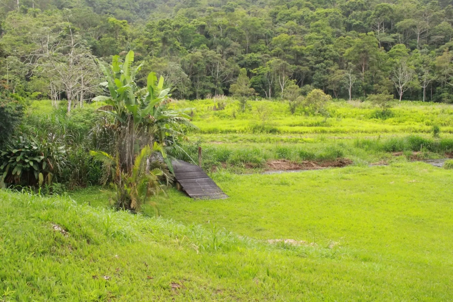 Imagem Chácara à venda 4 Quartos, 2 Suites, 20 Vagas, 60000M², Ribeirão Grande, Pindamonhangaba - SP