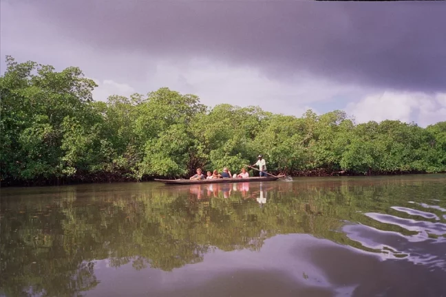 Imagem Ilha São Jerônimo