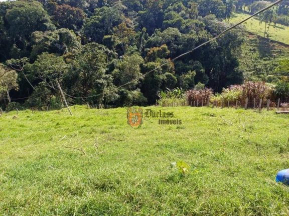 Imagem Chácara com 4 dormitórios à venda, 18393 m² por R$ 800.000,00 - Pedra Bela - Pedra Bela/SP