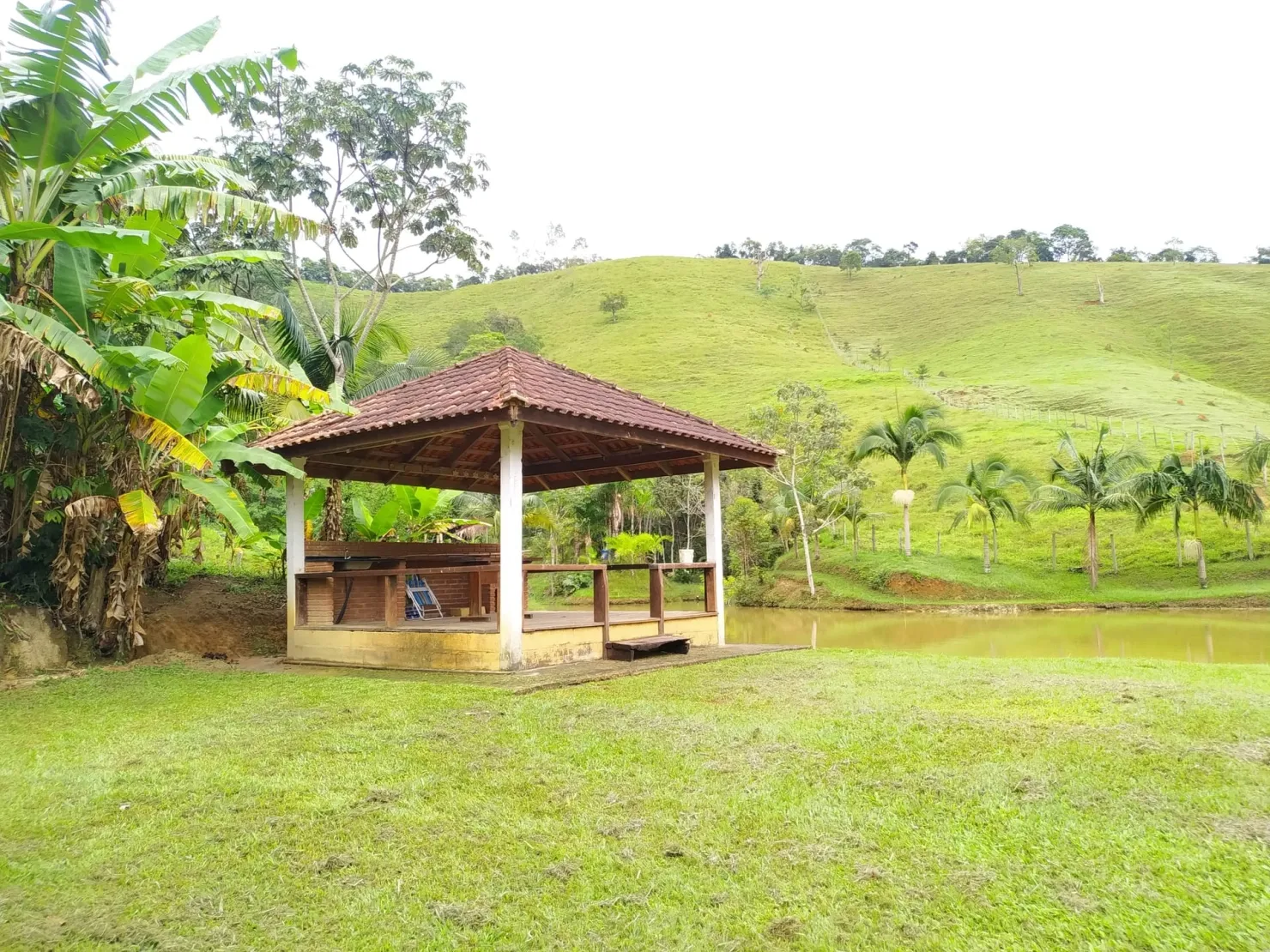 Imagem Chácara à venda 3 Quartos, 31573.76M², Centro, Monteiro Lobato - SP