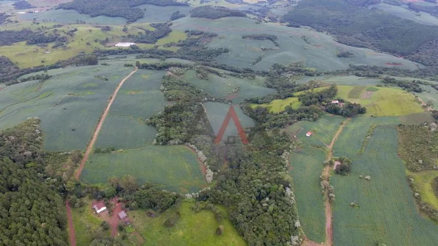 Imagem Rural à venda,112719.00m², Linha São Paulo, RENASCENCA - PR