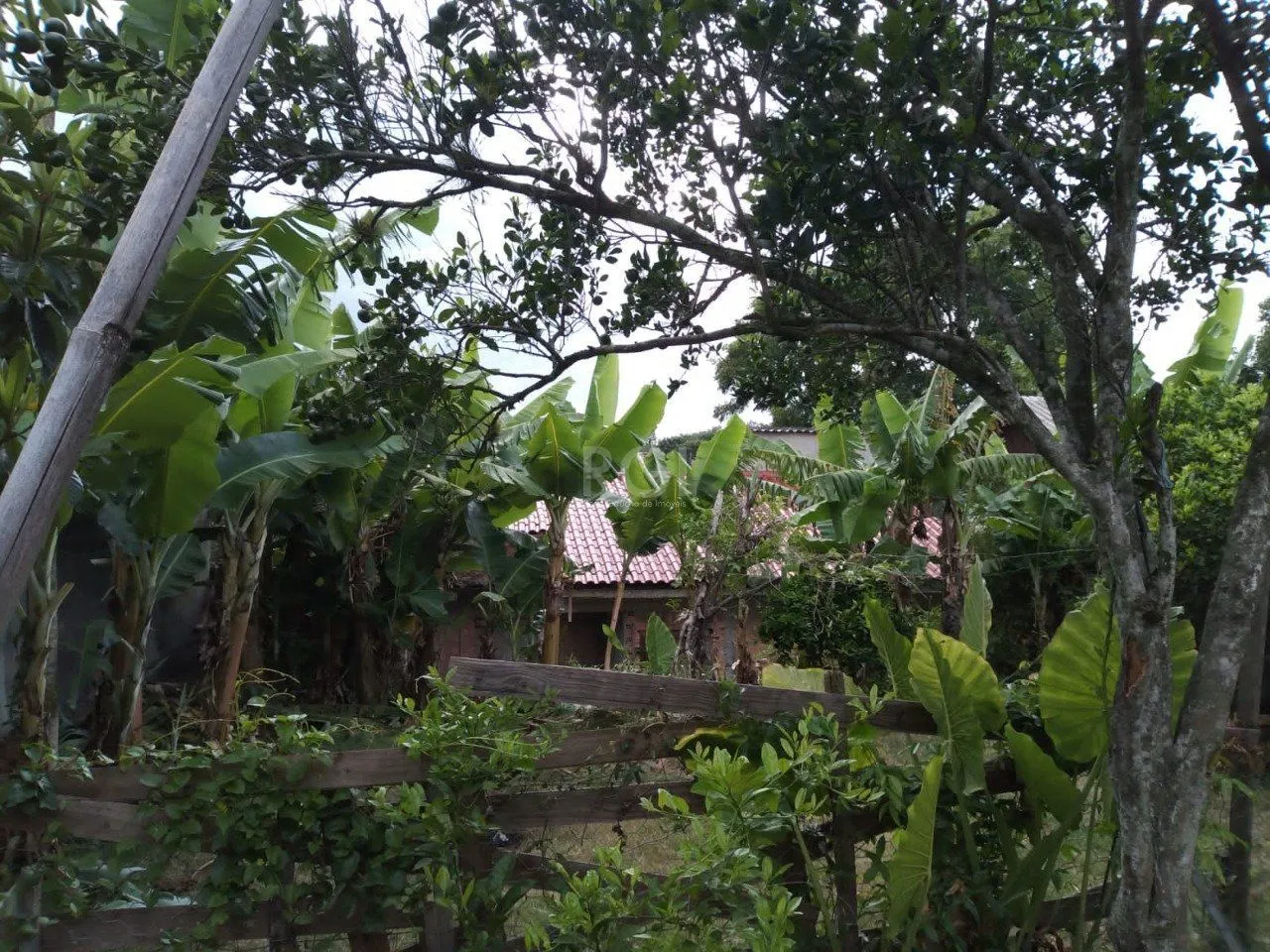 Imagem Casa em Belém Novo